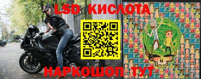 шишки Сланцы