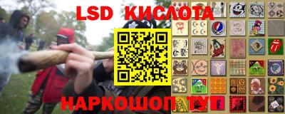 шишки Сланцы