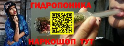 тгк Ставрополь