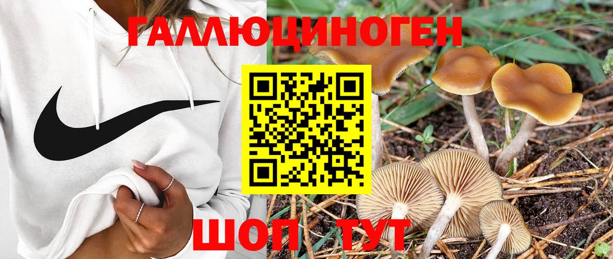 Псилоцибиновые грибы ЛСД Глазов